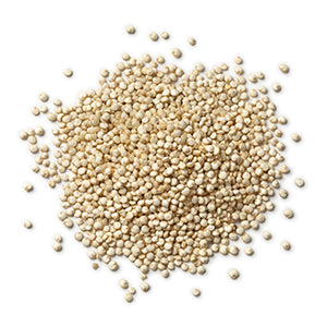 Quinoa Proteins