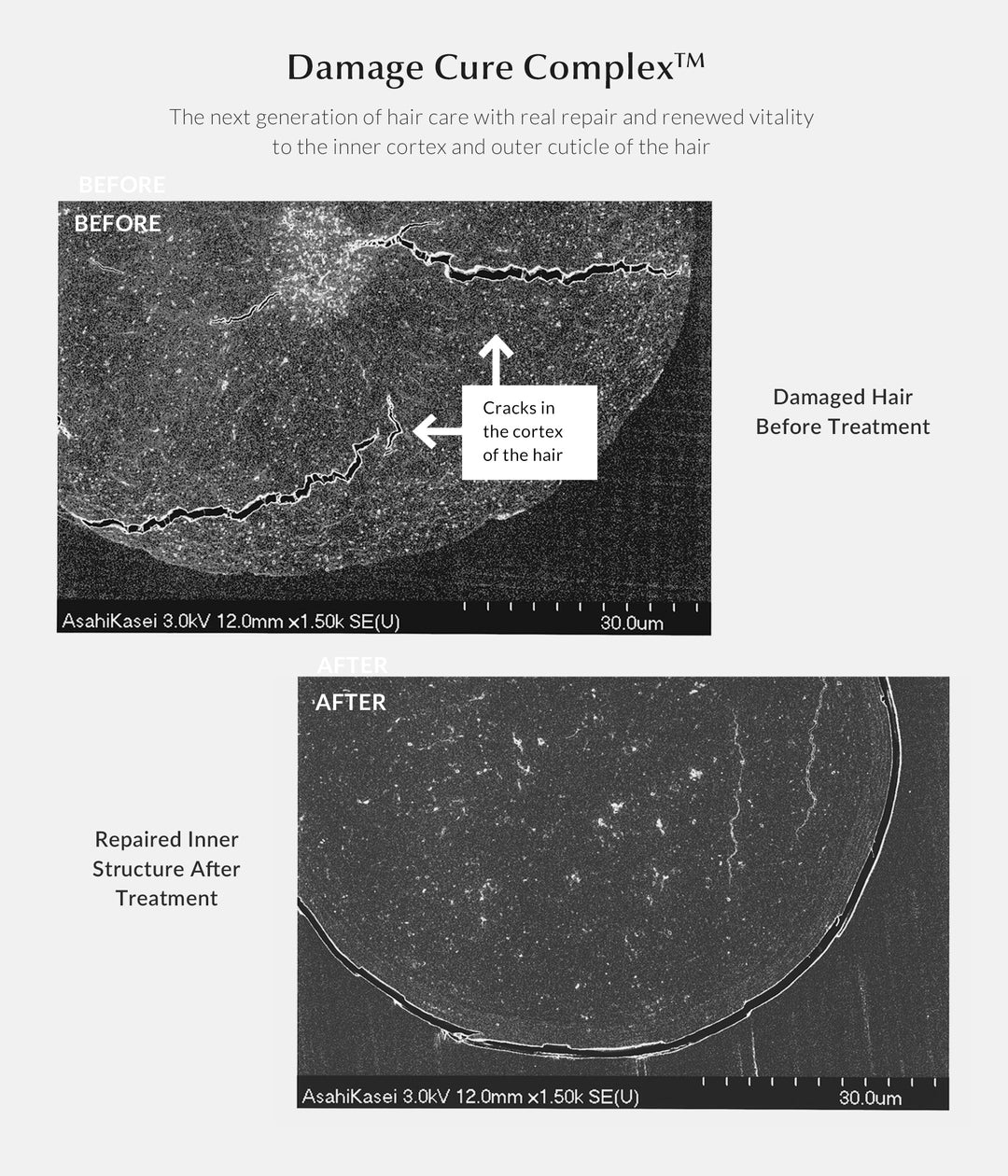 Leave-In Repair Treatment – Eufora International